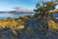 Autumn tree and Low clouds over water of Batak Reservoir, Bulgaria Royalty Free Stock Photo