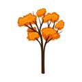 Tree with a bright orange crown. Vector illustration on a white background.