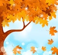 Autumn tree maple leaves against the blue sky