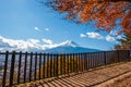 Autumn tree and Mount Fuji in Japan. Royalty Free Stock Photo