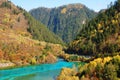 Autumn tree mountain and lake in jiuzhaigou