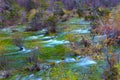 Autumn tree mountain and lake in jiuzhaigou Royalty Free Stock Photo