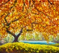 Autumn tree near water. Oil Painting Autumn landscape.
