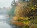 Autumn tree by the pond. Mystical morning autumn landscape with fog over the lake. Royalty Free Stock Photo