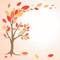 Autumn tree