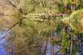 Autumn tree reflecting on lake