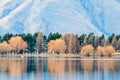 Autumn tree reflection with lake, Lake Clearwater, New Zealand Royalty Free Stock Photo