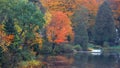 Autumn tree reflections in the pond Royalty Free Stock Photo