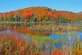 Autumn tree reflections in Vermont