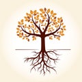 Autumn Tree and Roots. Vector Illustration.