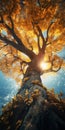 Autumn Tree Silhouette In Sunlight: Realism With Fantasy Elements