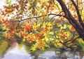 The autumn tree slopes over the lake. Painting, watercolor, paper