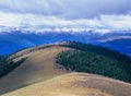 Autumn tree and snow mountain Royalty Free Stock Photo