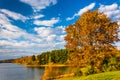 Autumn tree and view of Lake Marburg, at Codorus State Park, Pen Royalty Free Stock Photo