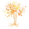 Autumn tree watercolor illustration. Fall tree with art splashes