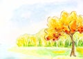 Autumn tree. Watercolor painting. Royalty Free Stock Photo