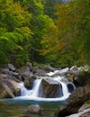 Autumn tree and waterfall in the river Marcadau.