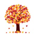 Autumn tree on white background