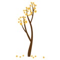 Autumn tree. Yellow leaves fall Isolated on white background. Autumnal season golden garden tree foliage. Abstract Tree