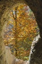 Autumn tree with yellow leaves through the hole of a cave Royalty Free Stock Photo