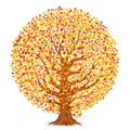 Autumn tree with yellow, orange and red leaves isolated on white background Royalty Free Stock Photo