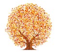 Autumn tree with yellow, orange and red leaves isolated on white background vector Royalty Free Stock Photo