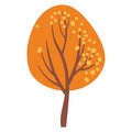 Autumn tree. Yellowed tree for garden forest park. Withering plant with golden foliage. Tree losing leaves Isolated on