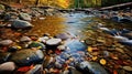 Captivating Autumn River Landscape With Leaves And Rocks Royalty Free Stock Photo