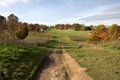 Autumn trees