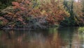 Autumn trees along Dead river in Michigan upper peninsula with reflections seen in the river Royalty Free Stock Photo