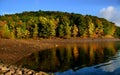 Autumn trees along lake shore Royalty Free Stock Photo