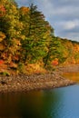 Autumn trees along lake shore Royalty Free Stock Photo