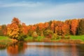 Autumn trees on the bank of the pond. Panoramic autumn landscape with red trees Royalty Free Stock Photo