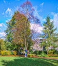 Autumn Trees in a Birnam Park Park Scotland