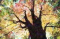 Autumn Trees Canopy Painting