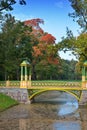 Autumn trees on channel coast. Royalty Free Stock Photo