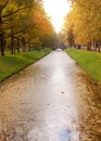 Autumn trees on channel coast Royalty Free Stock Photo