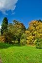Autumn trees in the Cholmondeley castle gardens Royalty Free Stock Photo