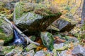 Autumn trees with falling leafs and creek