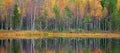 Autumn trees in the Finland forest. Green and yellow trees with reflection in the still water surface. Fall landscape with trees. Royalty Free Stock Photo