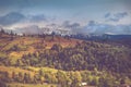 Autumn trees in the forest and snow-covered mountain in the distance. Royalty Free Stock Photo