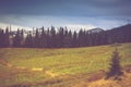 Autumn trees in the forest and snow-covered mountain in the distance. Royalty Free Stock Photo