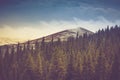 Autumn trees in the forest and snow-covered mountain in the distance. Royalty Free Stock Photo