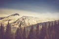 Autumn trees in the forest and snow-covered mountain in the distance. Royalty Free Stock Photo