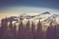 Autumn trees in the forest and snow-covered mountain in the distance. Royalty Free Stock Photo