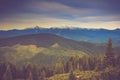 Autumn trees in the forest and snow-covered mountain in the distance. Royalty Free Stock Photo