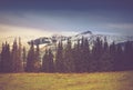 Autumn trees in the forest and snow-covered mountain in the distance. Royalty Free Stock Photo