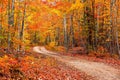 Autumn trees by the forest trail in Michigan upper peninsula countryside Royalty Free Stock Photo