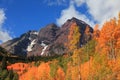Autumn trees in front of Iconic Maroon bells in Colorado Royalty Free Stock Photo