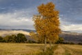 Autumn trees along meadow stream with distant mountains in Eastern Sierra Nevadas California Royalty Free Stock Photo